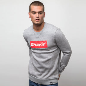 Sweatshirt Mitic D - Grey