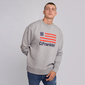 Sweatshirt Oversized D.Franklin Flag Grey